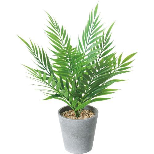 GLA-1564 テーブルヤシポット/全長48cm 幅35cm 鉢φ12.5cm×H12.7cm