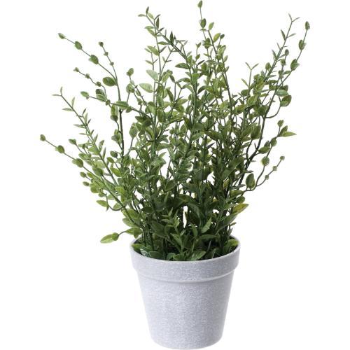 GLA-1568 タイムポット/全長29cm 幅18cm 鉢φ11cm×H10cm