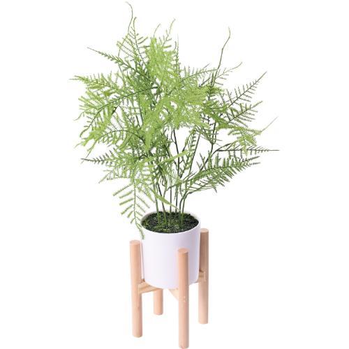 GLA-1572 アスパラガススタンディングポット/全長67cm 幅40cm スタント:φ15cm×H19cm 鉢φ12cm×H11cm