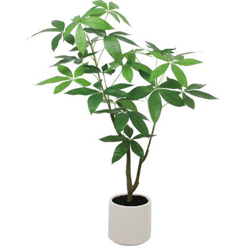 GLA-1576 パキラポット/全長100cm 幅75cm 鉢φ18cm×H18cm