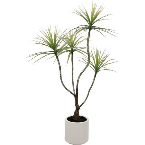 GLA-1577 ドラセナポット/全長110cm 幅70cm 鉢φ18cm×H18cm