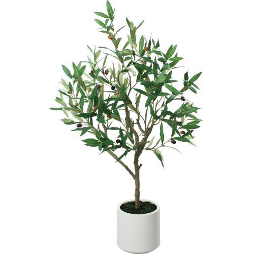 GLA-1578 オリーブポット/全長110cm 幅60cm 鉢φ18cm×H18cm