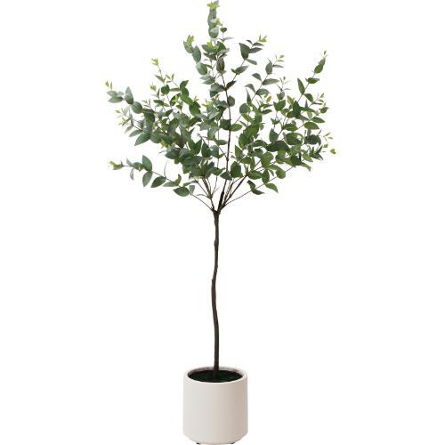 GLA-1579 ユーカリポット/全長120cm 幅60cm 鉢φ18cm×H18m