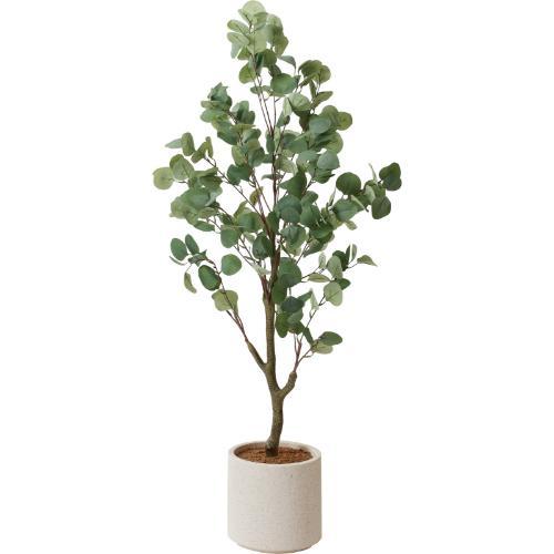 GLA-1581 ユーカリツリーポット/全長125cm 幅50cm 鉢φ15cm×H12.5cm