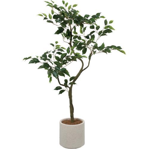 GLA-1583 ベンジャミンポット/全長120cm 幅180cm 鉢φ22cm×H21.5cm