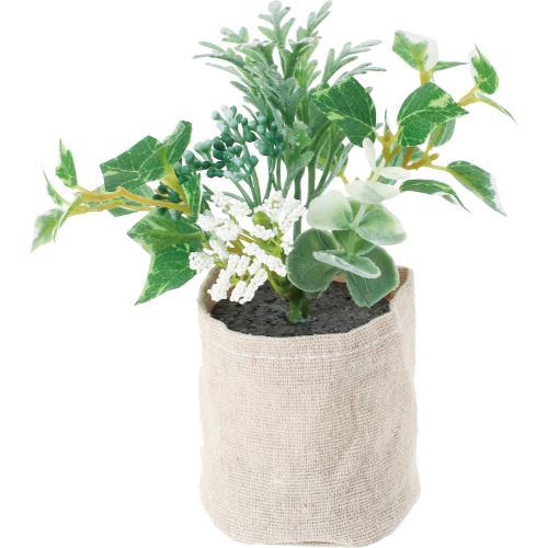 GLA-1584 ミニアイビーキャンバスポット/全長14cm 幅16cm 鉢φ6.5cm×H7cm