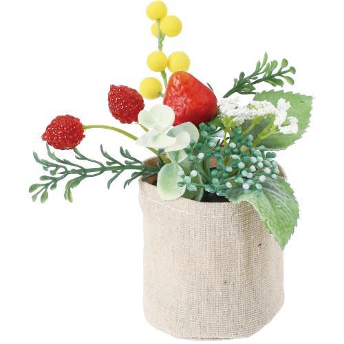 GLA-1585 ベリーミックスキャンバスポット/全長13cm 幅13cm 鉢φ6.5cm×H7cm