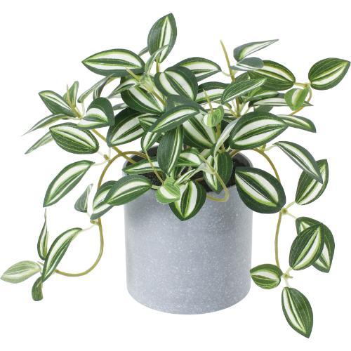 GLA-1587 トラディスポット/全長16.5cm 幅17cm 鉢φ7.5cm×H8cm