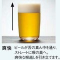 クラフトビアグラス(爽快)