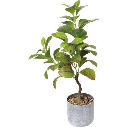 GLA-1610 50cmリーフポット/全長50cm 幅28cm 鉢φ11cm×H10.5cm/送料別途見積