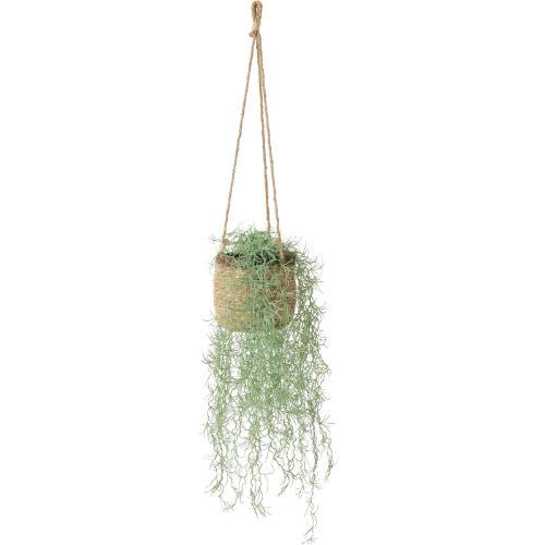 GLA-1624 スパニッシュモスハンギング/全長93cm 幅26cm(麻紐含まず) 鉢φ116cm×H14cm/送料別途見積
