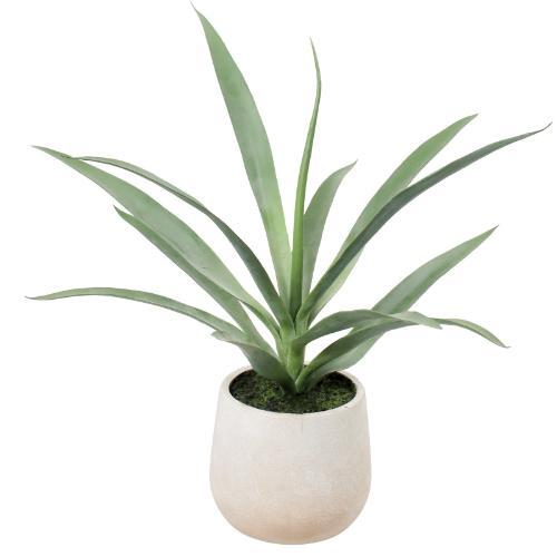 GLA-1633 ユッカポット/全長50cm 幅60cm(鉢φ15cm×15cm)