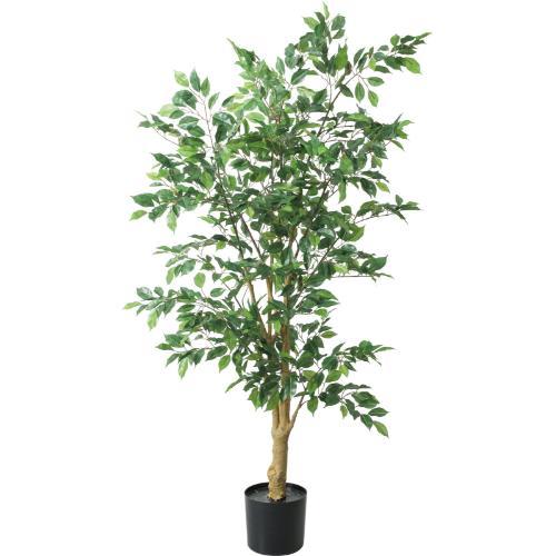 GLP-1547 160cmベンジャミンフィカス/全長160cm 幅85cm 鉢φ14.5cm×H14.7cm