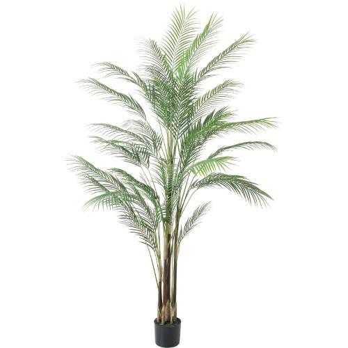 GLP-1550 アレカヤシL/全長185cm 幅80cm 鉢φ15cm×H18cm
