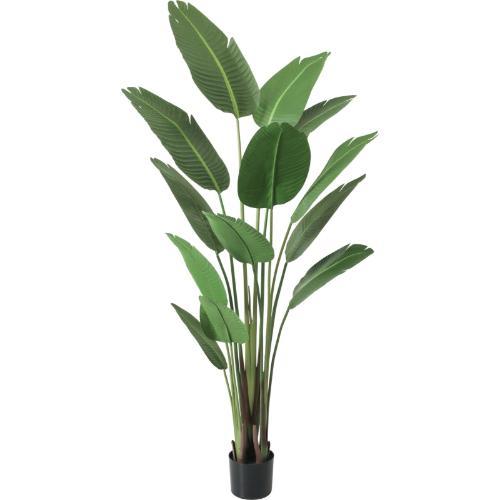 GLP-1552 トラベラーズパーム/全長180cm 幅90cm 鉢φ17cm×H14cm