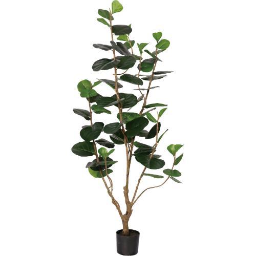 GLP-1555KK シーブレープ/全長170cm 幅75cm 葉 :8.5 ～ 15cm 鉢:H14cm×φ17cm