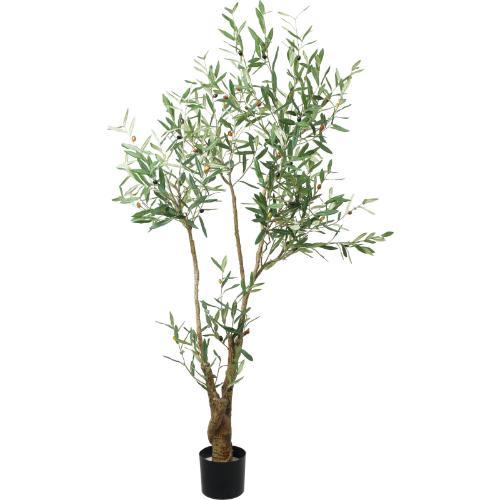 GLP-1560 180cmオリーブ/全長170cm 幅105cm 鉢φ15.5cm×H14.5cm