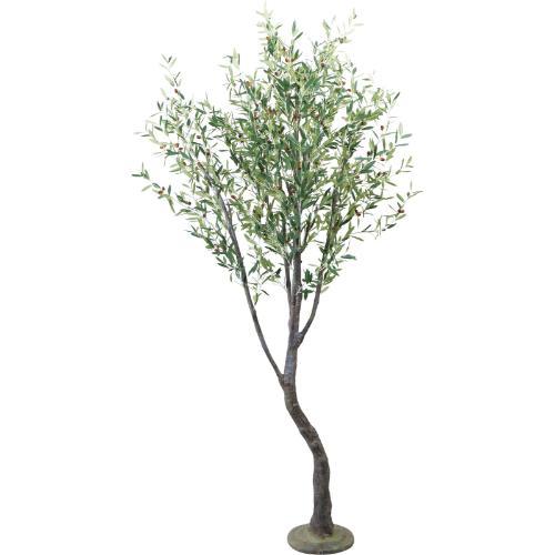 GLP-1563 290cmオリーブ/全長290cm 幅150cm 鉢φ15.5cm×H14.5cm