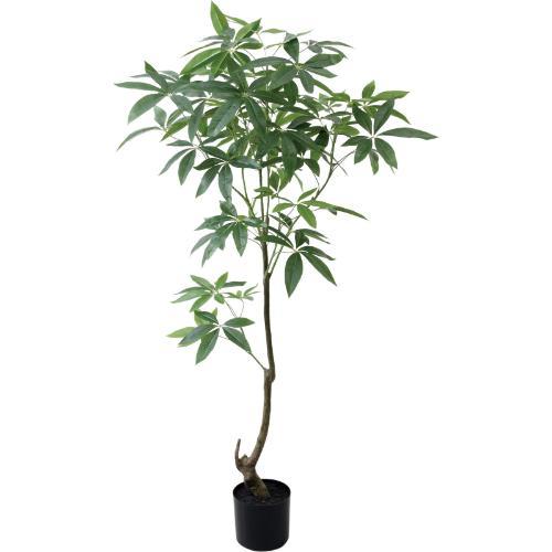 GLP-1565 150cmパキラ/全長150cm 幅70cm 鉢φ17cm×H14.5cm