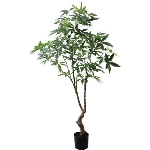 GLP-1566 180cmパキラ/全長180cm 幅90cm 鉢φ19cm×H17.5cm