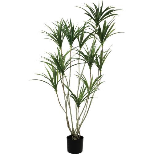 GLP-1576 140cmドラセナポット/全長140cm 幅90cm 鉢φ17cm×H14.5cm