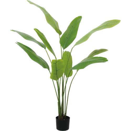 GLP-1579 140cmトラベラーズパーム/全長140cm 幅120cm 鉢φ15cm×H12cm