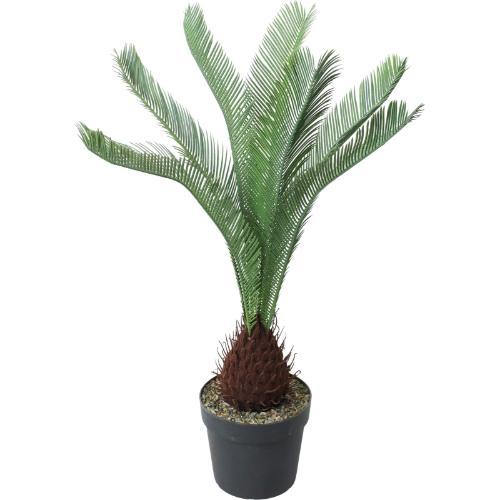 GLP-1582 120cmソテツ/全長120cm 幅77cm 鉢φ25cm×H23cm