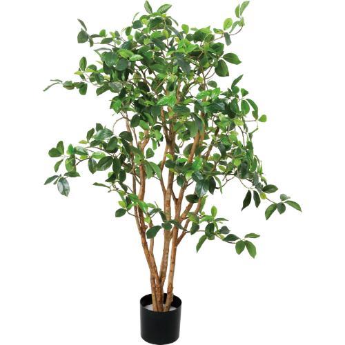 GLP-1593 130cmガジュマルツリー/全長130cm 幅85cm(鉢φ17cm×14.5cm)/送料別途見積