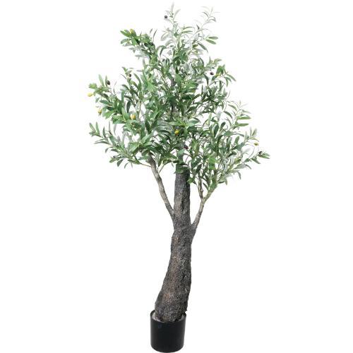 GLP-1596 180cmワイドトランクオリーブ/全長170cm 幅90cm(鉢φ20cm×17cm)/送料別途見積