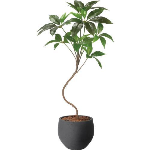 GLPA-093 ナチュラルツピタンサス1.0m/全長100cm 幅50cm 奥行50cm 鉢φ25cm×H21cm