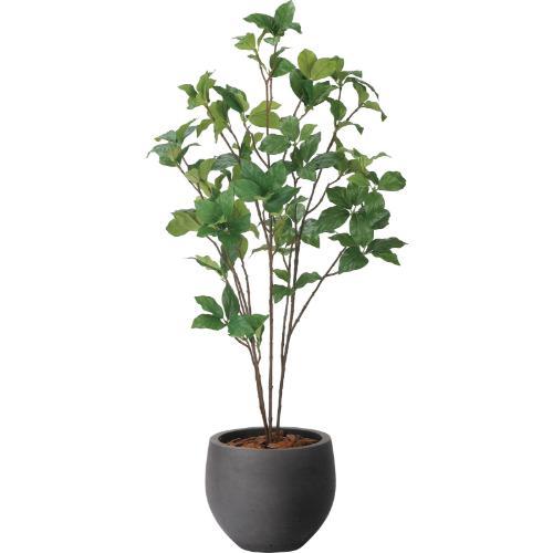 GLPA-094 ナチュラルサラサドウダン90cm/全長90cm 幅45cm 奥行40cm 鉢φ25cm×H21cm