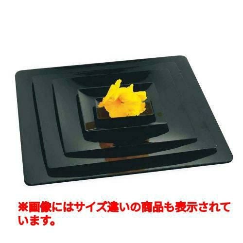 フルイド ブラック PL20243 10入