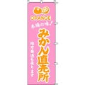 のぼり「みかん直売所」