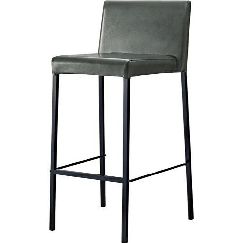 椅子【プロシード】リペットスタンドBL 21507-E 幅410×奥行490×高さ920 シート高700(mm)