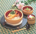 がんこ浅鉢白木内朱7寸