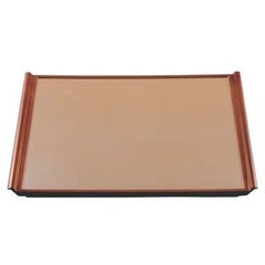 奥広フライト盆銀透き渕べっ甲SL尺5