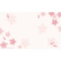 ショーカード 名刺サイズ 桜/30枚×5冊入
