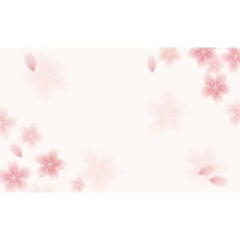 ショーカード 名刺サイズ 桜/30枚×5冊入