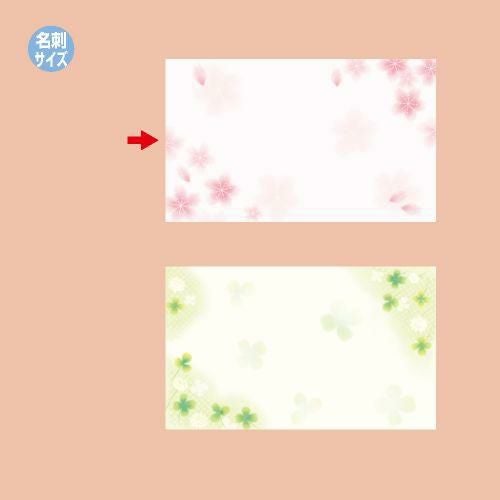 ショーカード 名刺サイズ 桜/30枚×5冊入
