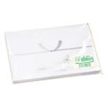 のし紙 B6判 銀蓮 京/100枚×10冊入