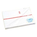 のし紙 B6判 赤棒 京/100枚×10冊入