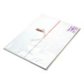 のし紙 みの判 十本結切 京/100枚×5冊入