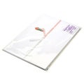 のし紙 半紙判 十本結切 京/100枚×5冊入
