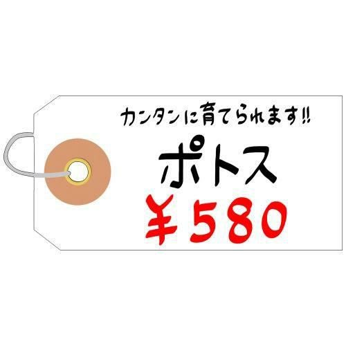 ユポ荷札 豆/1000枚×1箱