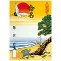 命名紙 B3判変形 多色刷/3枚×10冊入