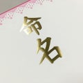 OA命名紙 レース ピンク/3枚×10冊入