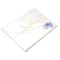 のし紙 本中判 黄水引 山/100枚×5冊入