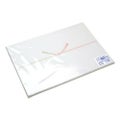 のし紙 みの判 五本結切 のし無し 山/100枚×5冊入