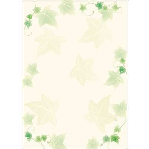 デザインペーパーフラール アイビー/10枚×5冊入