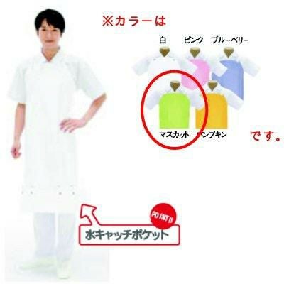 シャバルバ ソフトドライ用前掛胸付 558 LL マスカット